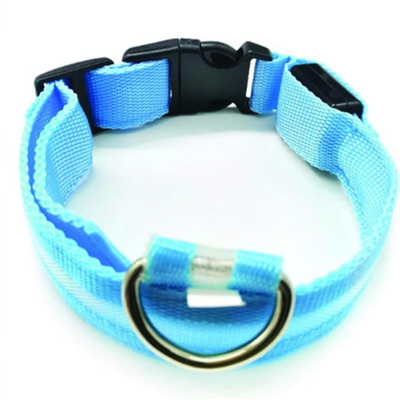 PARENCE – Collier Lumineux pour Chien, 3 Modes (M)